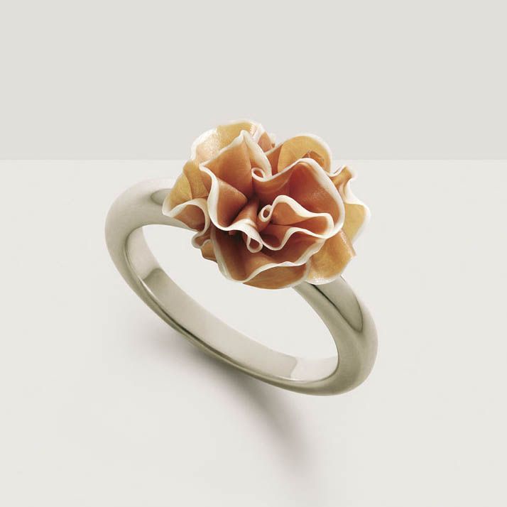 anillo-jamon-fulvio-bonavia-2