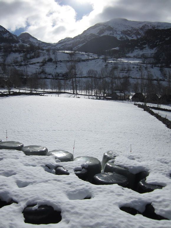 valle de lago lago del valle somiedo asturias en invierno con nieve