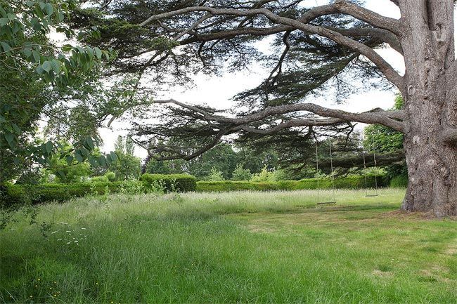 columpio-arbol-casa-antigua-con-muebles-de-diseño-somerset-lightlocations
