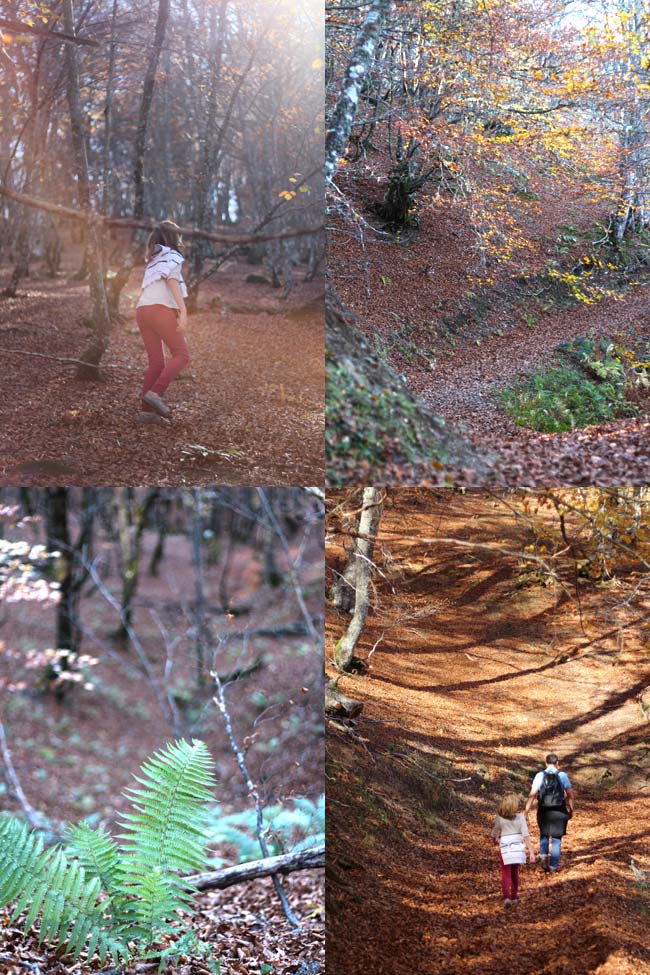 1-tabayón-del-mongayu-excursión-ruta-con-niños-en-asturias-parque-natural-de-redes-otoño