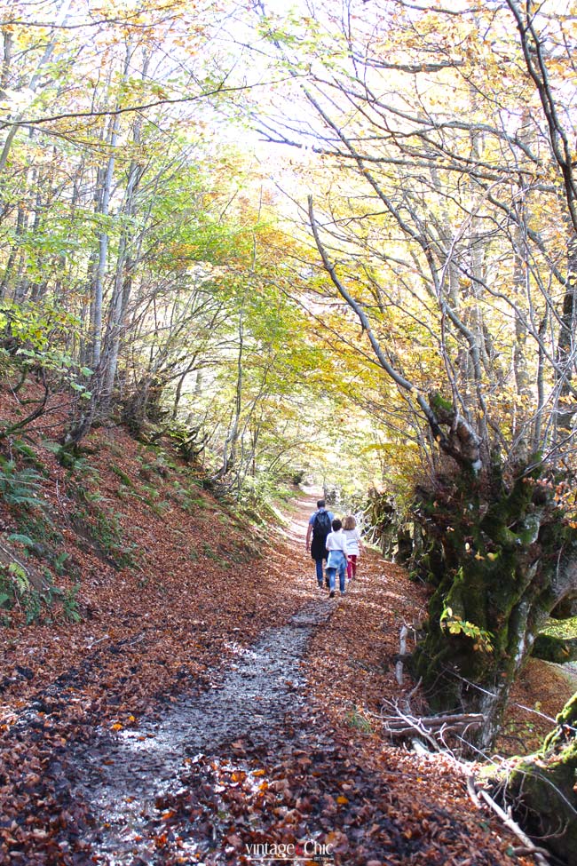 13-tabayón-del-mongayu-excursión-ruta-con-niños-en-asturias-parque-natural-de-redes-otoño