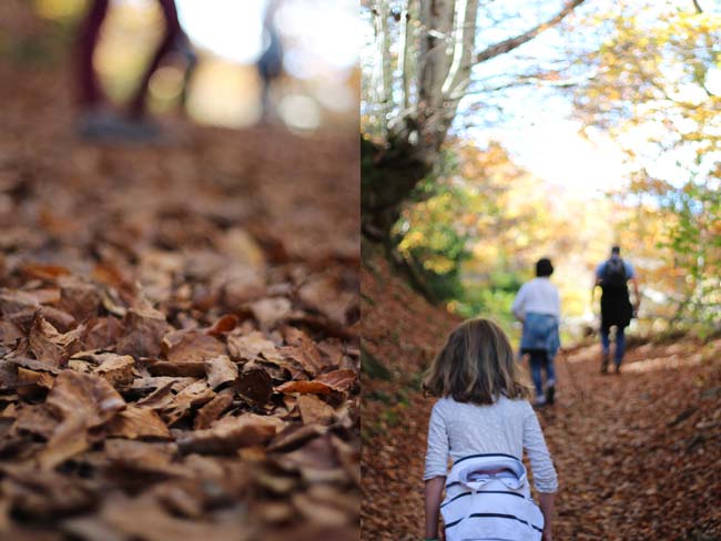 15-tabayón-del-mongayu-excursión-ruta-con-niños-en-asturias-parque-natural-de-redes-otoño