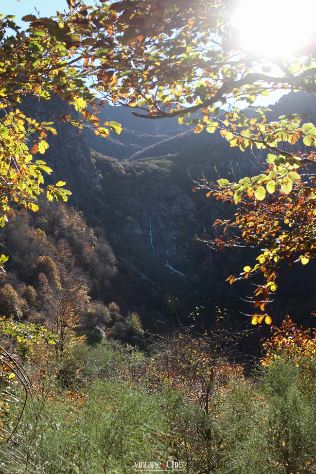 16-tabayón-del-mongayu-excursión-ruta-con-niños-en-asturias-parque-natural-de-redes-otoño