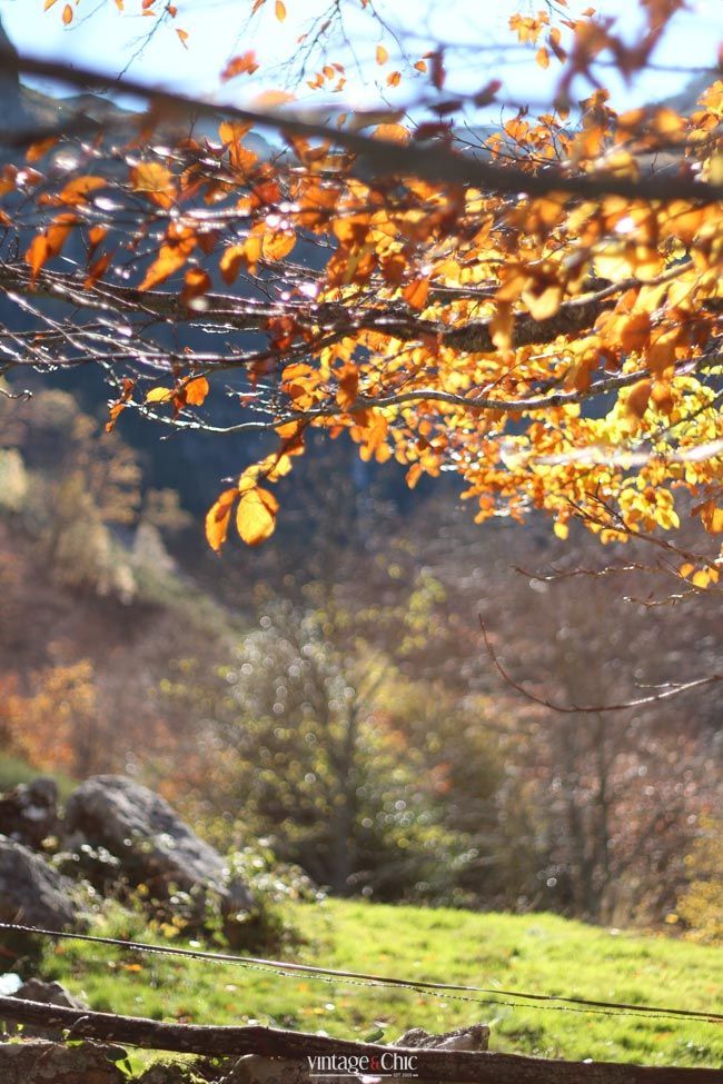 7-tabayón-del-mongayu-excursión-ruta-con-niños-en-asturias-parque-natural-de-redes-otoño