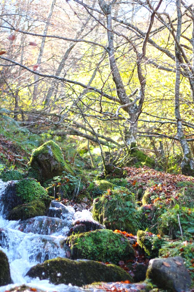 tabayón-del-mongayu-excursión-ruta-con-niños-en-asturias-parque-natural-de-redes-otoño