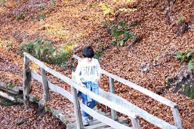 tabayón-tarna-excursión-con-niños-por-asturias-parque-natural-de-redes