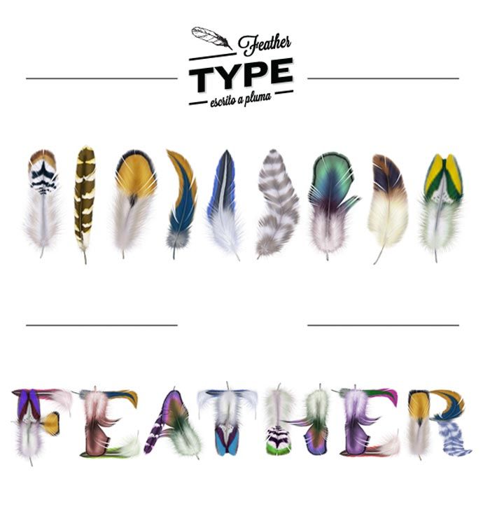 2-tipografia-feathers-manuel-persa
