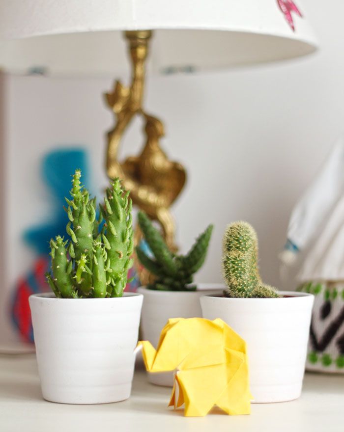 cactus-casa-vintage-and-chic
