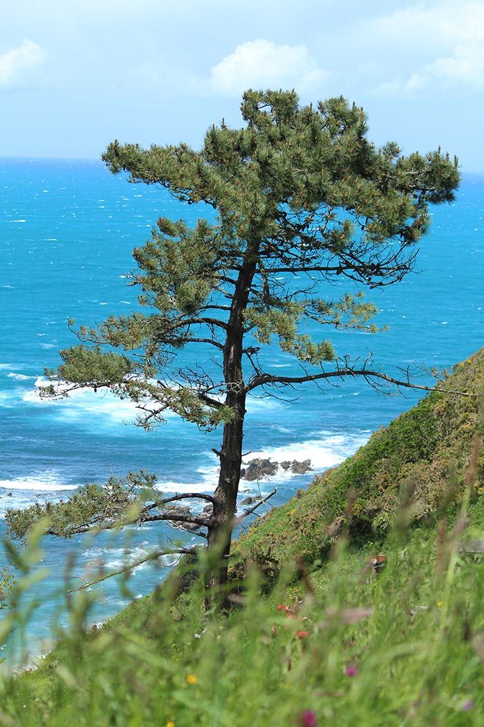 20-ruta-costa-asturias-playa-aguilar-san-esteban-de-pravia-asturias