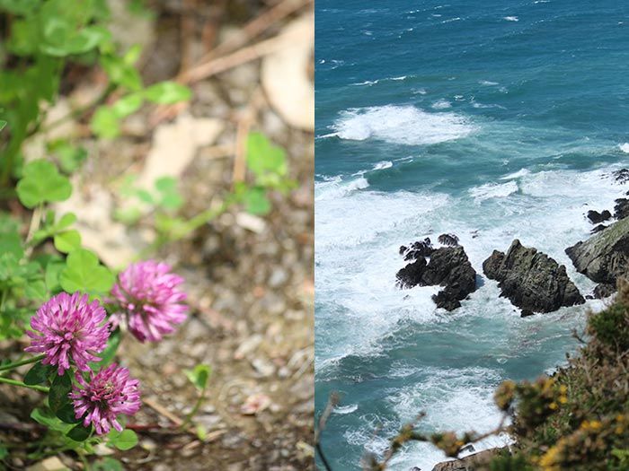 25-ruta-costa-asturias-playa-aguilar-san-esteban-de-pravia-asturias