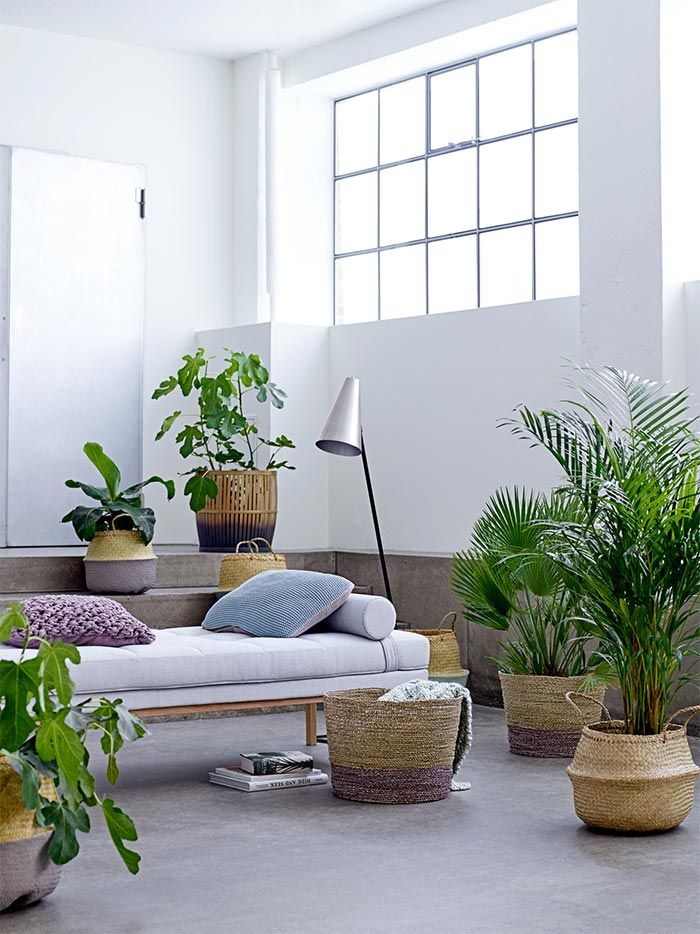 cestas-fibras-naturales-decoracion-olhom